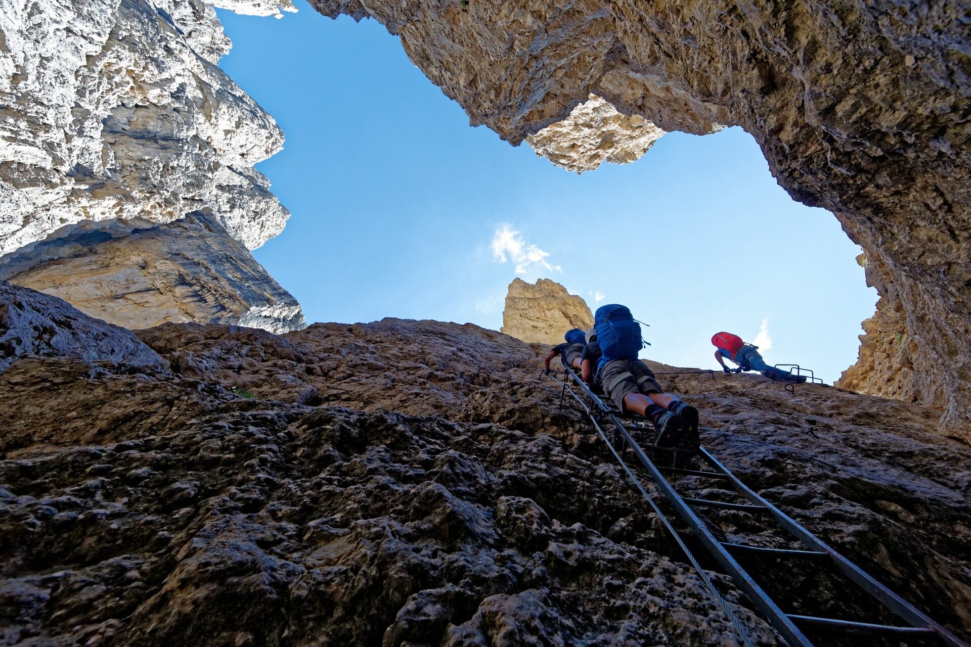 Img2 29993074 Default Variant