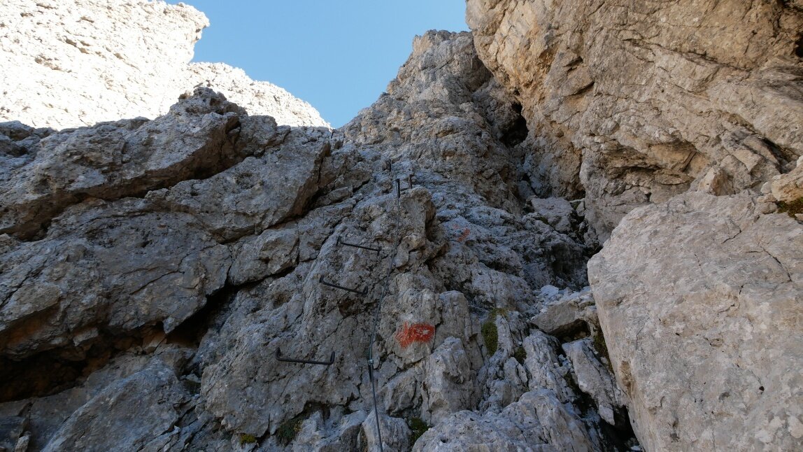 Img2 24878616 Default Variant