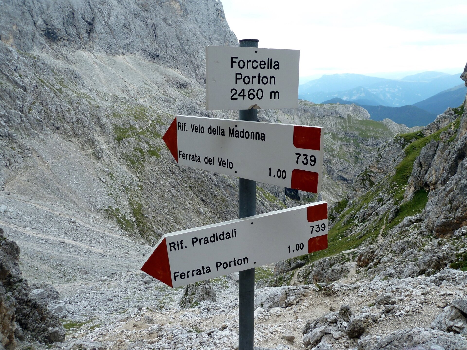 Img2 26720146 Default Variant