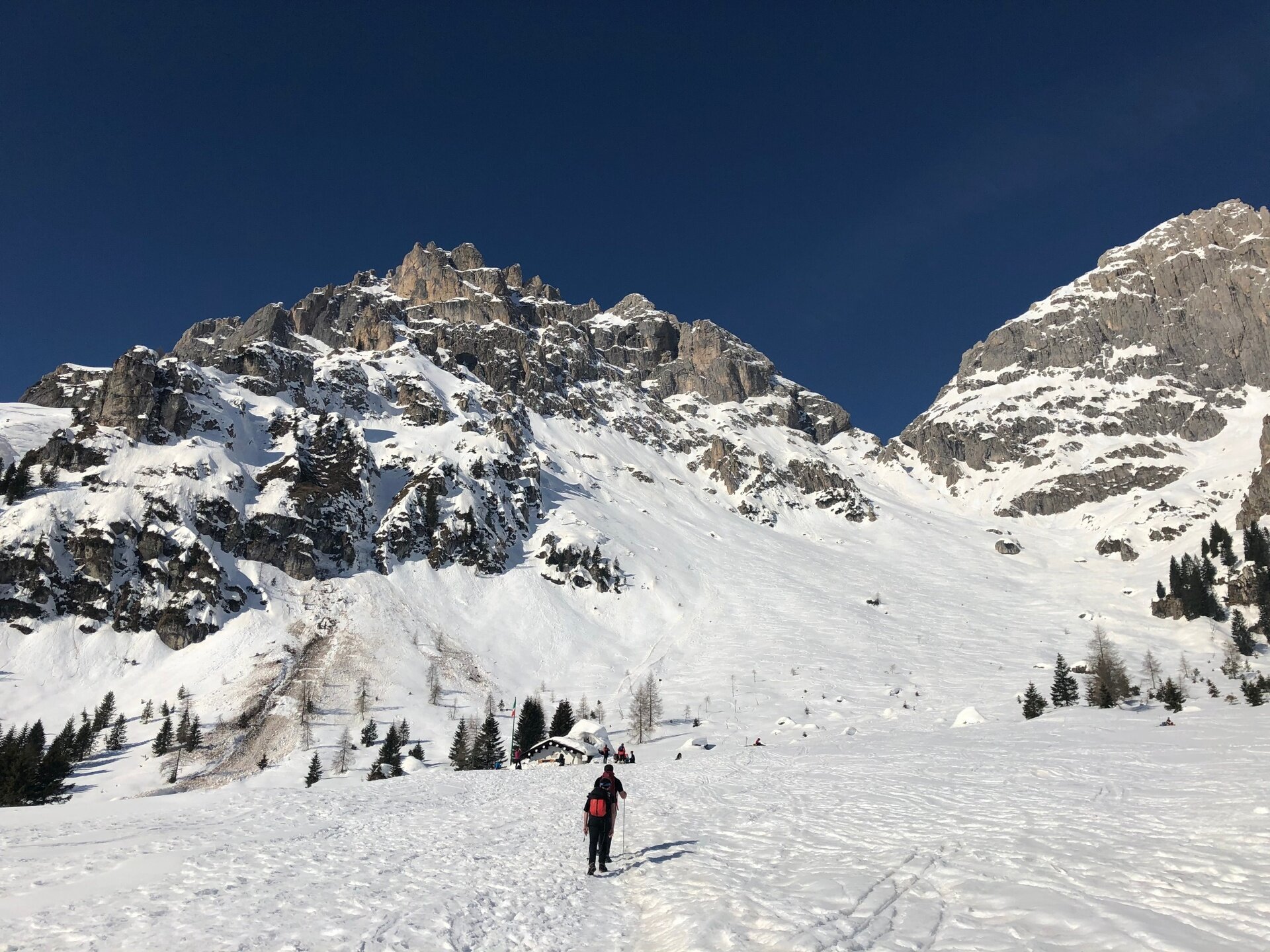 Img2 75359778 Default Variant