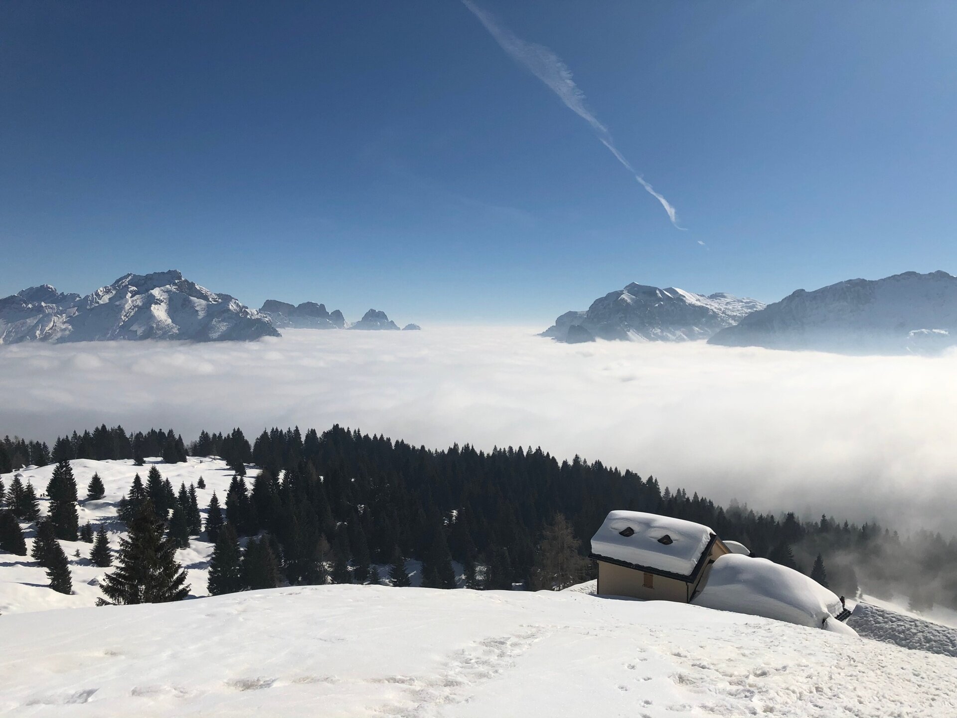 Img2 75359780 Default Variant