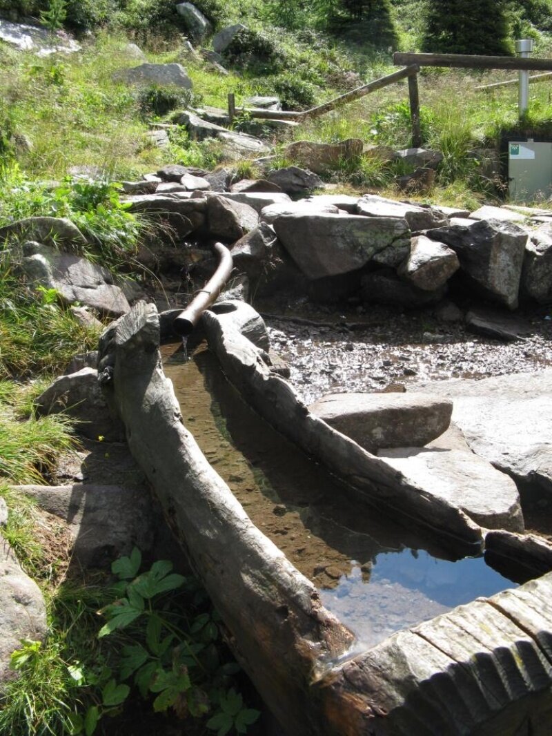 Img2 1958753 Default Variant