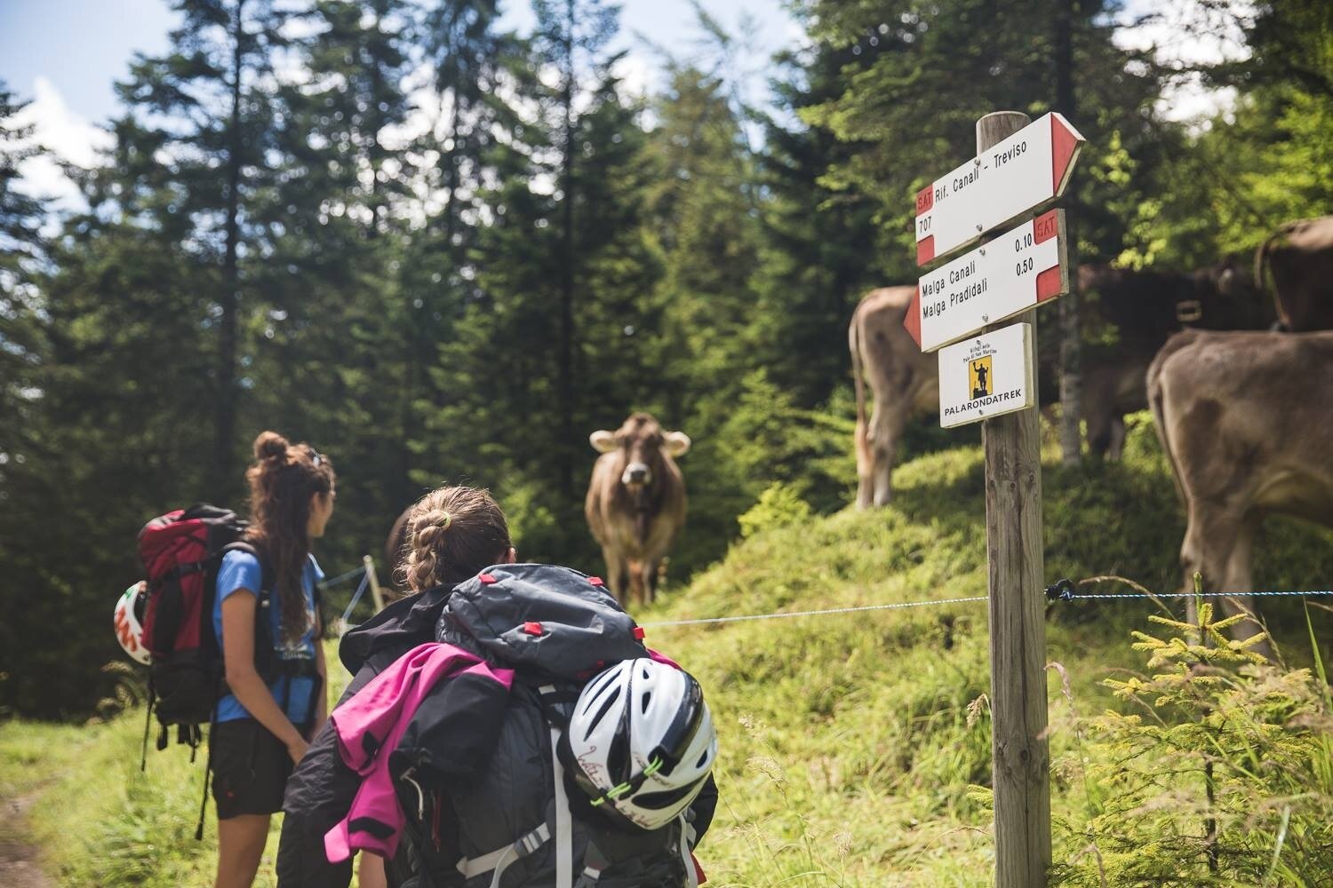 Hike to the Rifugio Treviso