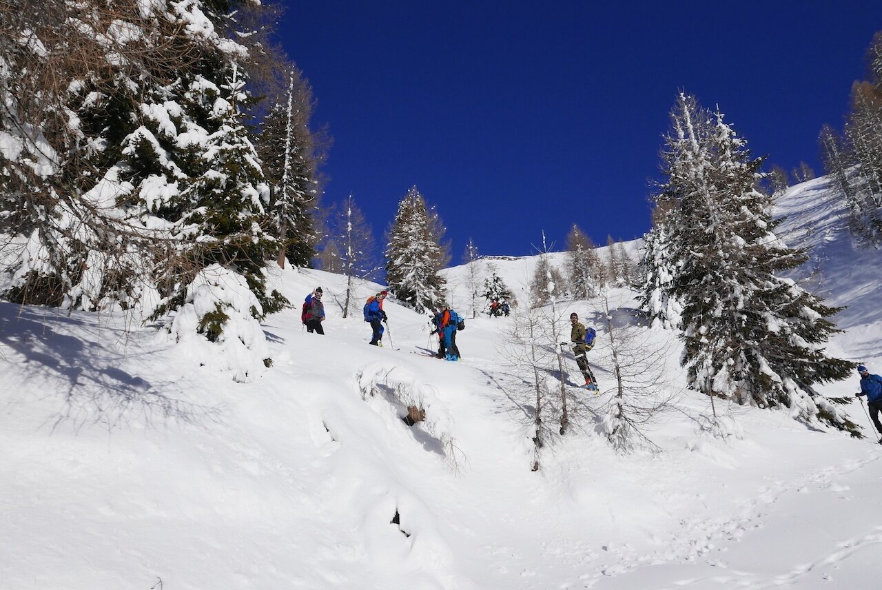 Img2 25266286 Default Variant