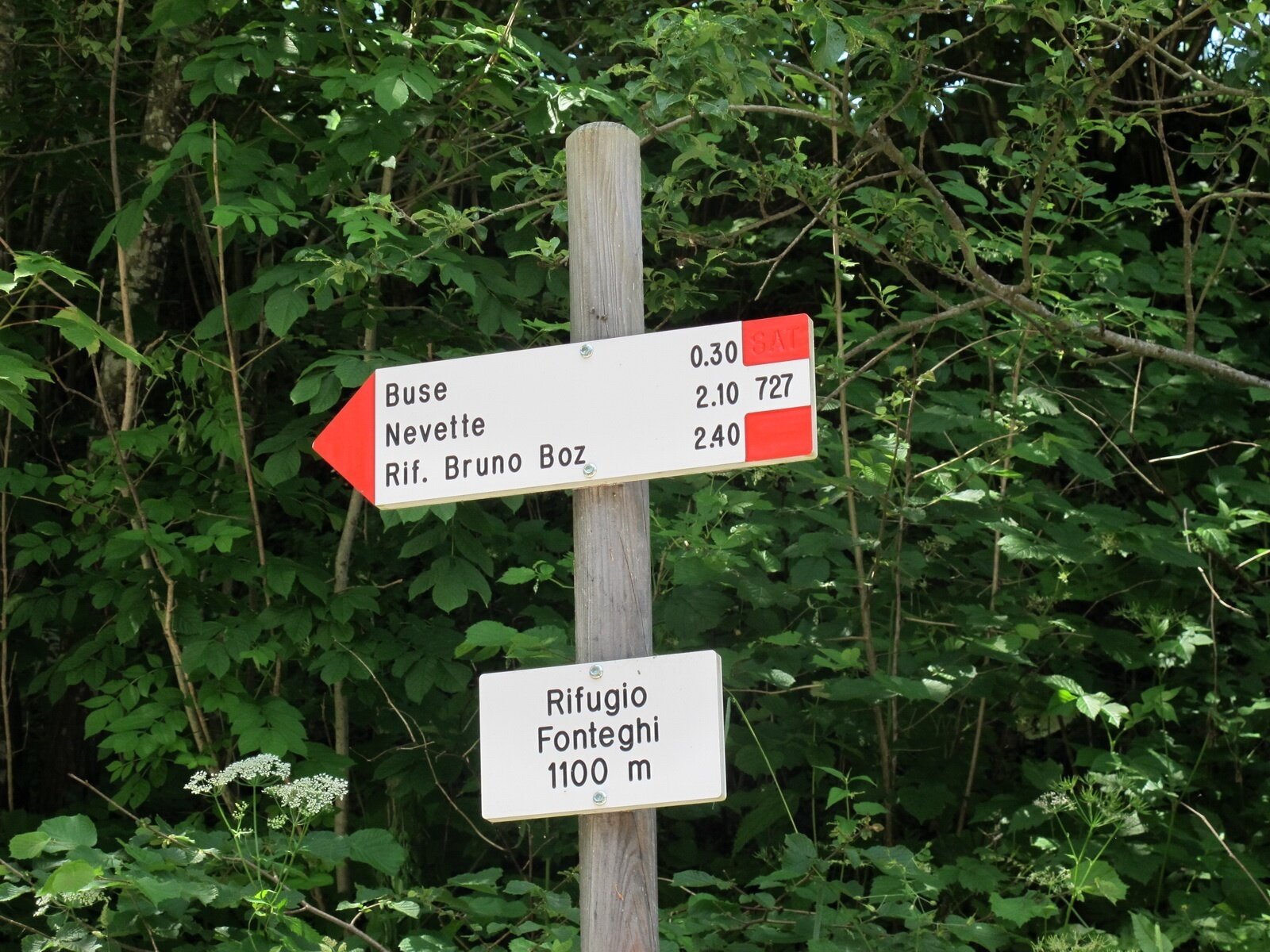 Img2 21344280 Default Variant