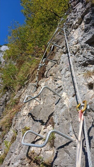 Img2 625113870 Default Variant