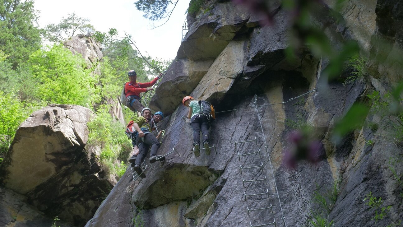 Img2 52071738 Default Variant