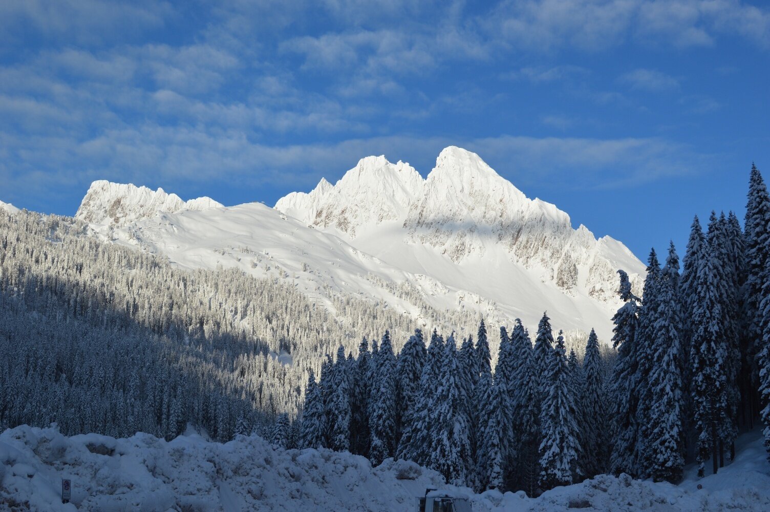 Img2 21085029 Default Variant