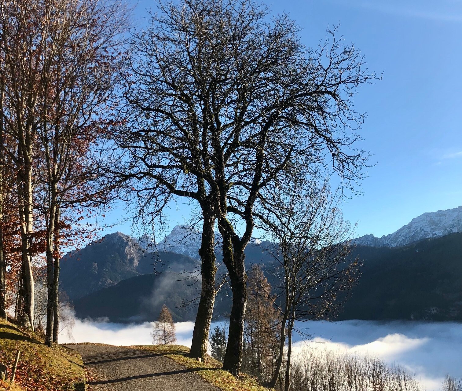 The Ancient Fruit Route