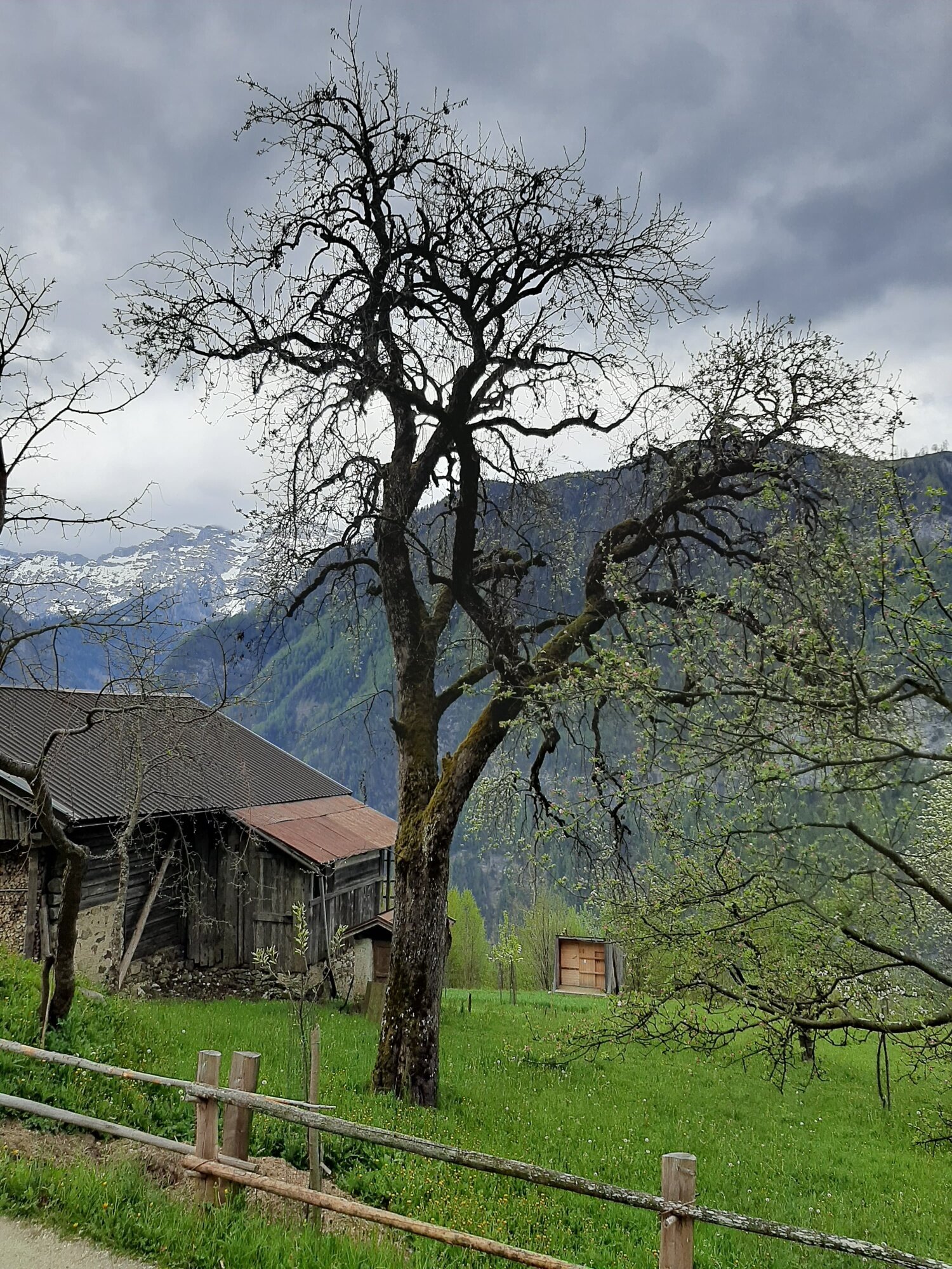 Img2 94505299 Default Variant