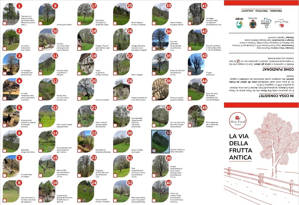 Img2 94587022 Default Variant