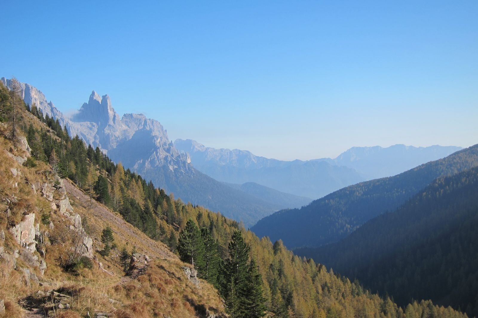 Img2 1961420 Default Variant