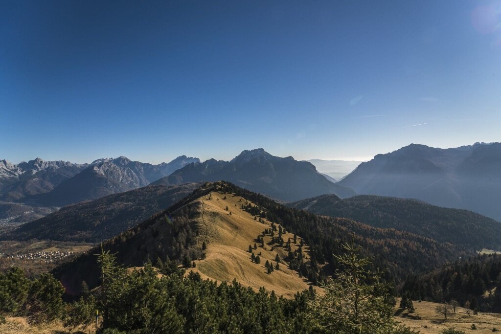 Img2 627745872 Default Variant