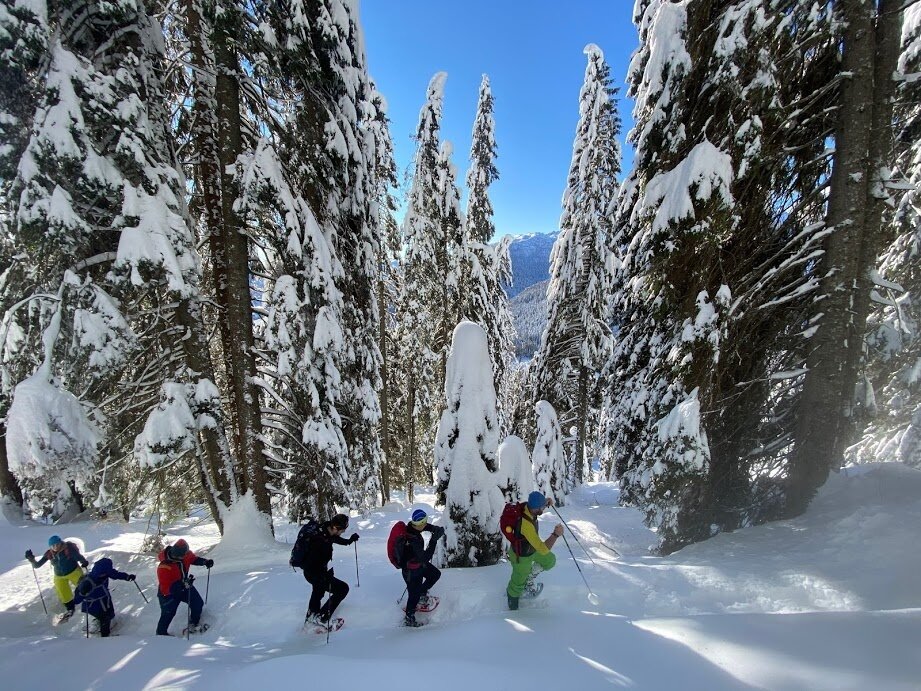 Img2 75218222 Default Variant