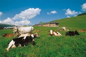 Img2 22406317 Default Variant