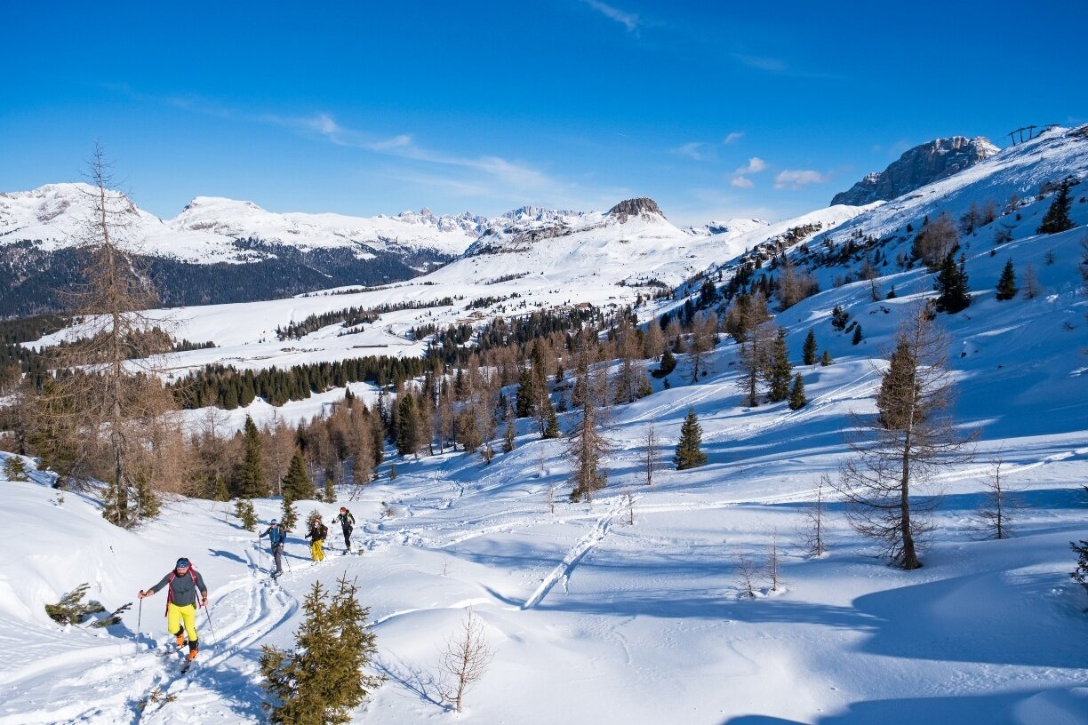 Malga Rolle - Cavallazza - Tognazza