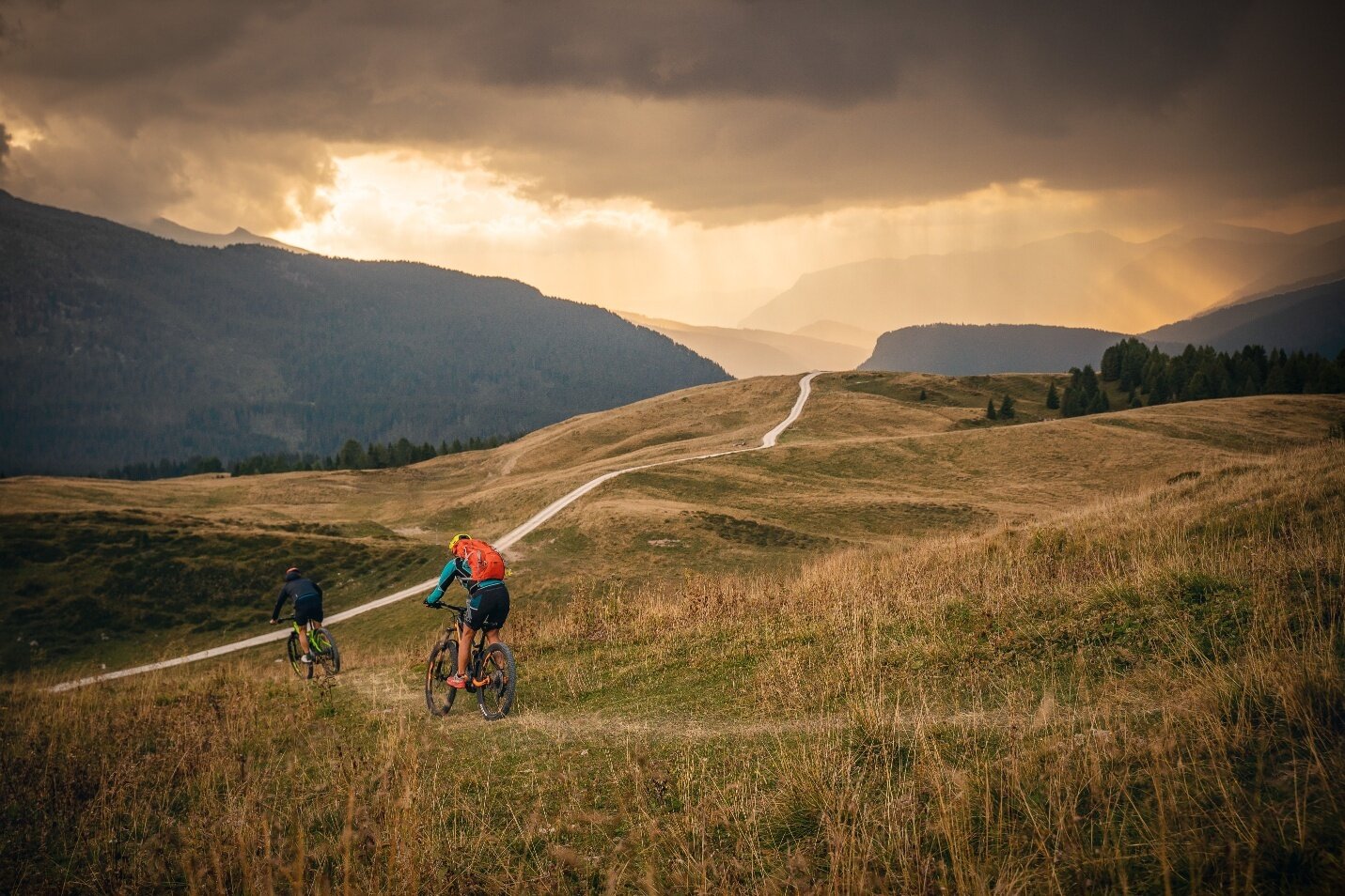 Montagna d'autore: Val Venegia - Baita Segantini percorso gravel