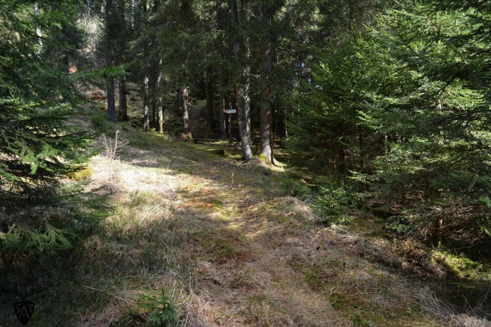 Img2 78289313 Default Variant