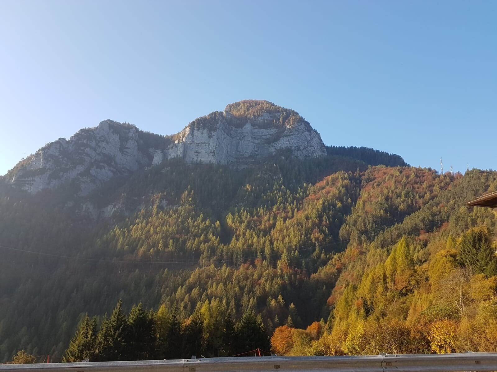 Img2 611366335 Default Variant