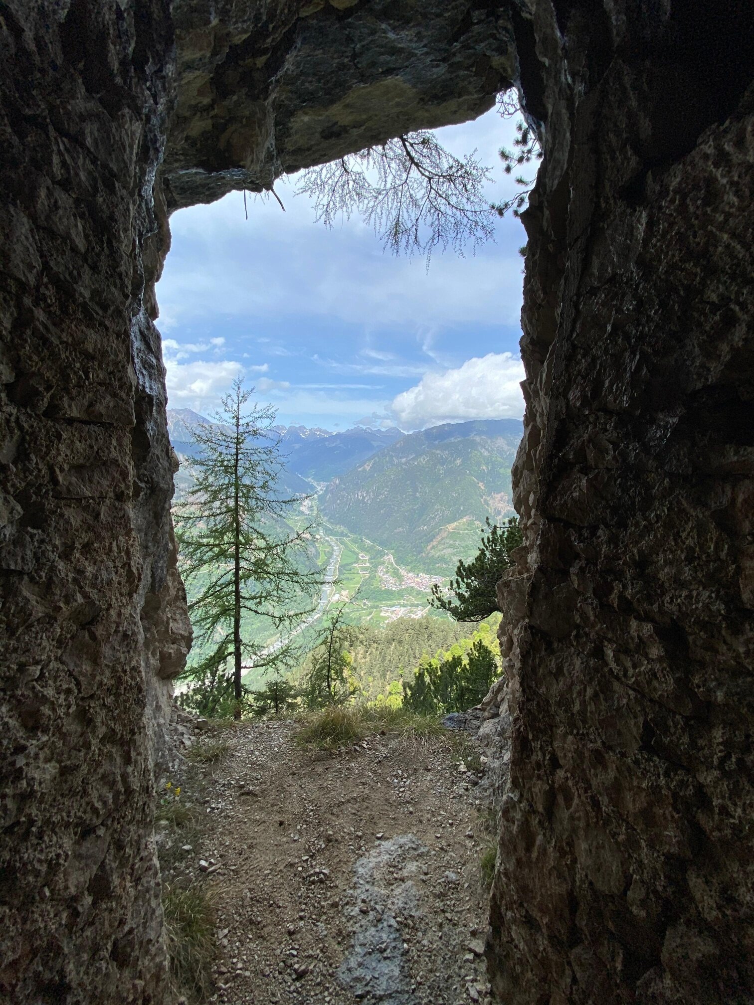 Img2 611366337 Default Variant