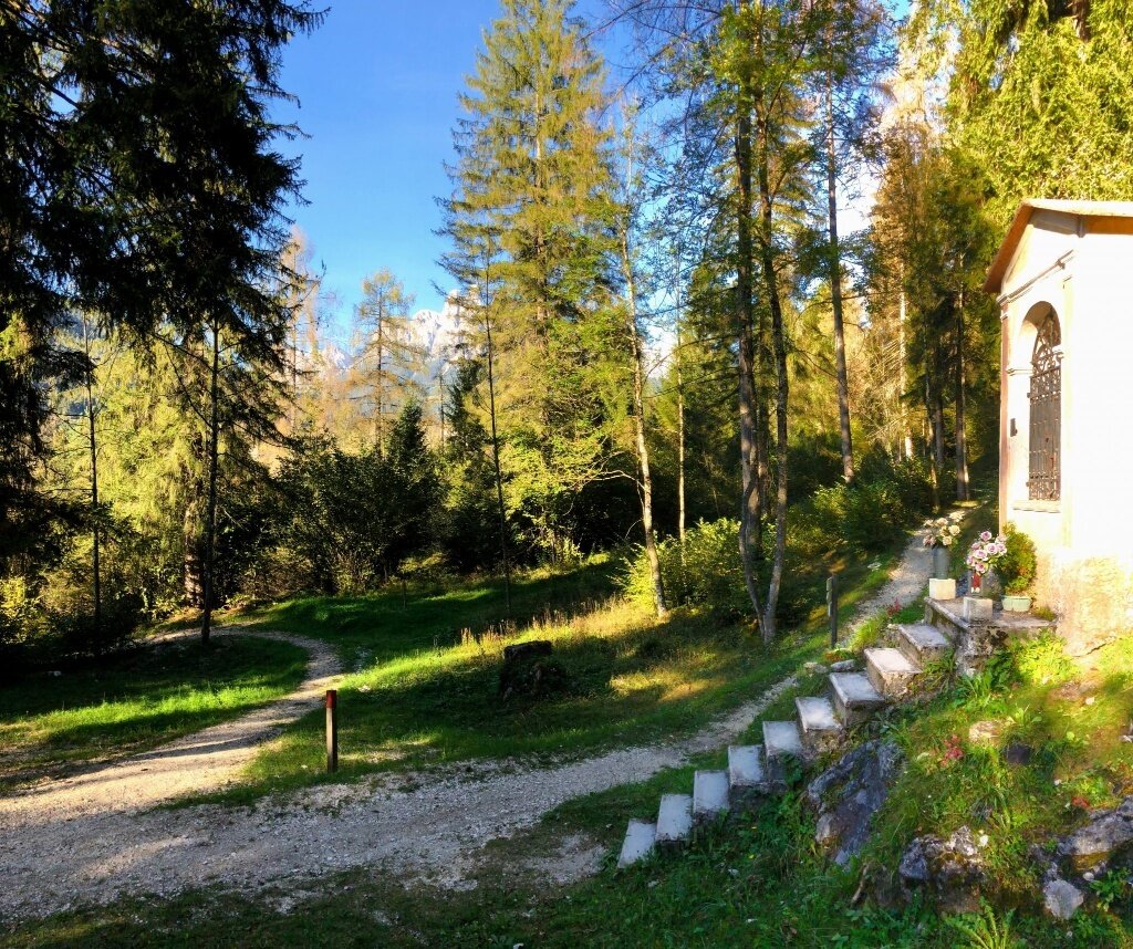 Img2 38161729 Default Variant