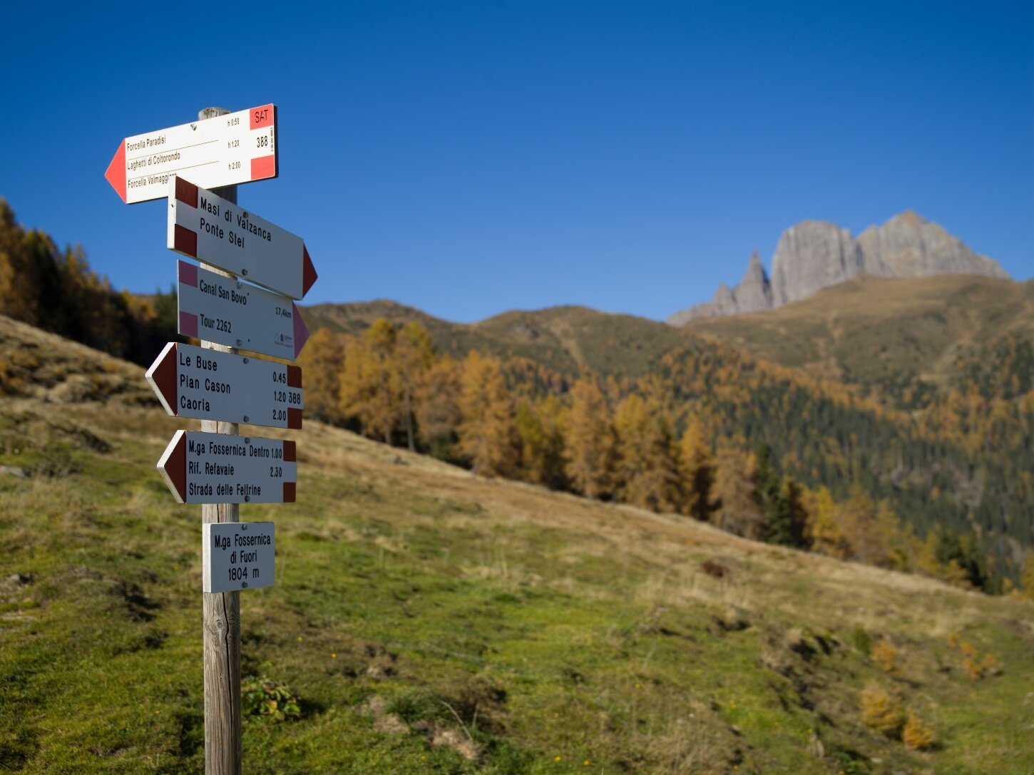 Nella Natura Selvaggia Della Valle Del Vanoi B9b14724 79a5 5ab6 B15a 7e8aba715bef