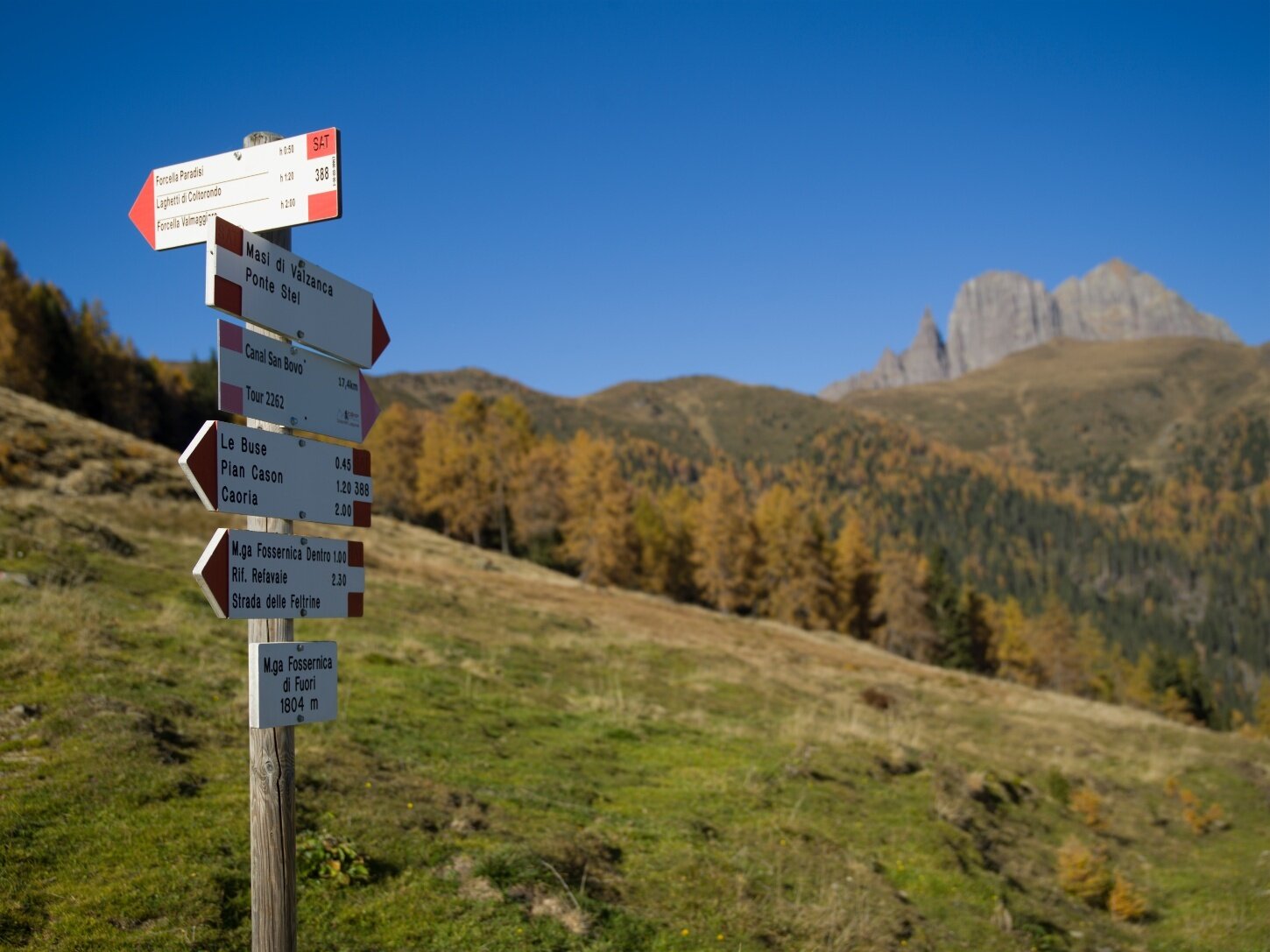 In der wilden Natur des Vanoi-Tals