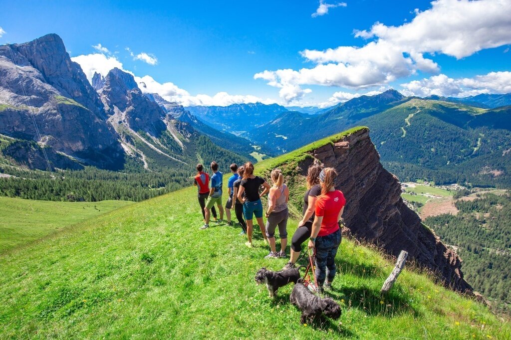 Img2 611571624 Default Variant