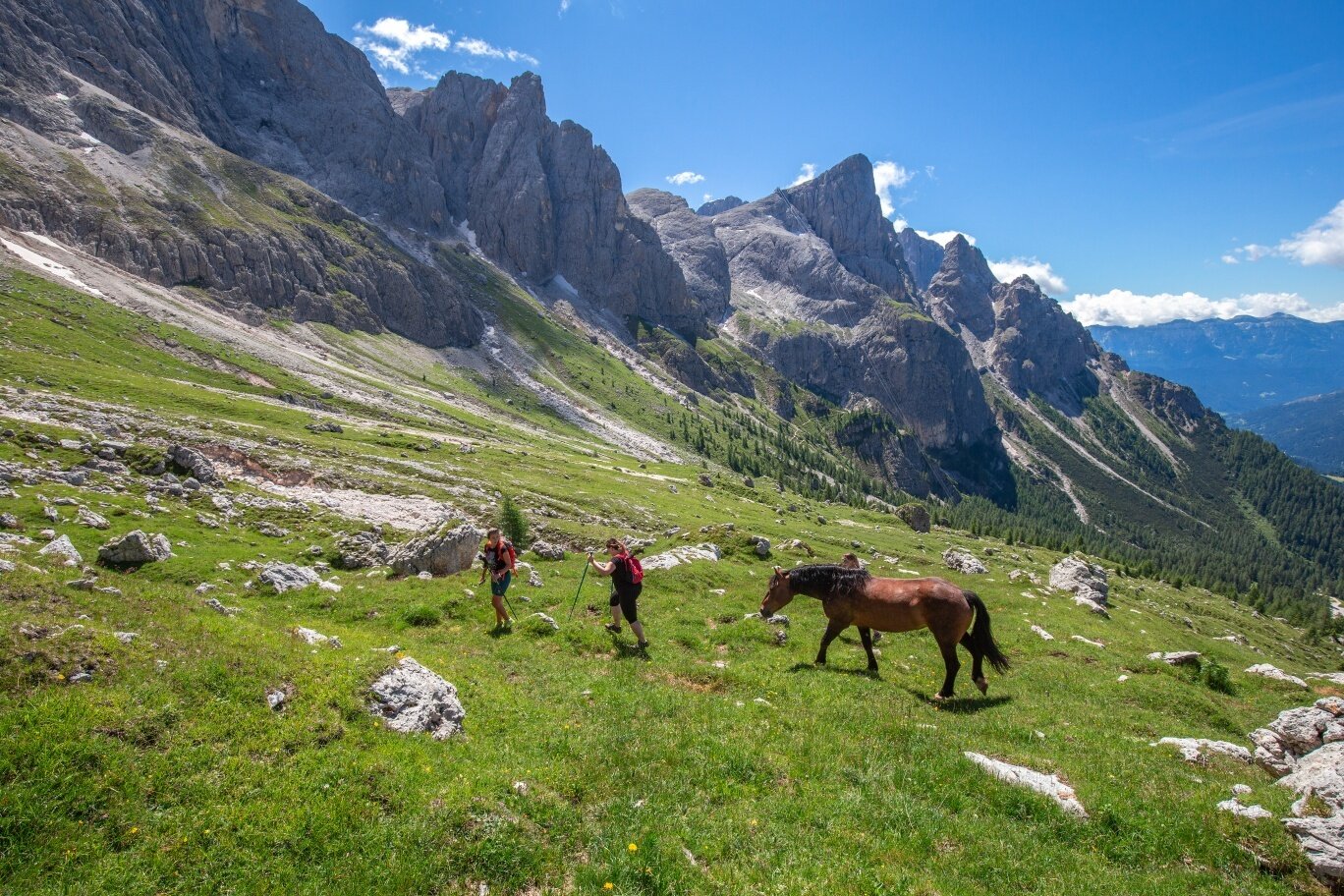 Img2 611571649 Default Variant