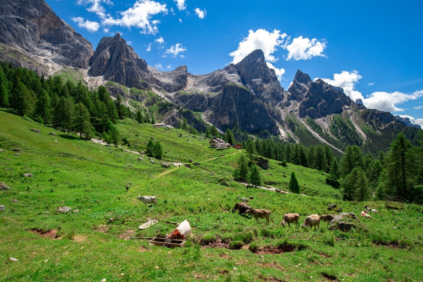 Img2 611571650 Default Variant