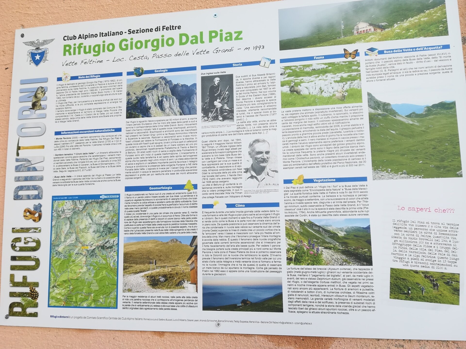 Img2 32058604 Default Variant