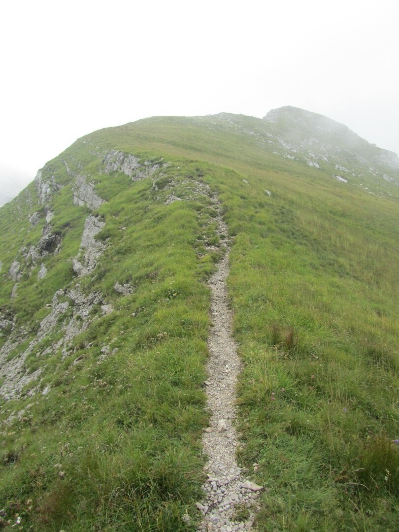 Img2 32058747 Default Variant