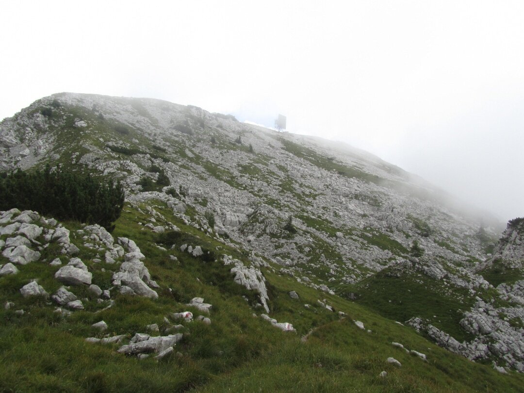 Img2 32058750 Default Variant