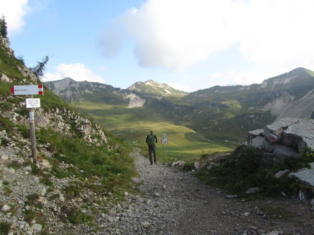 Img2 32058736 Default Variant