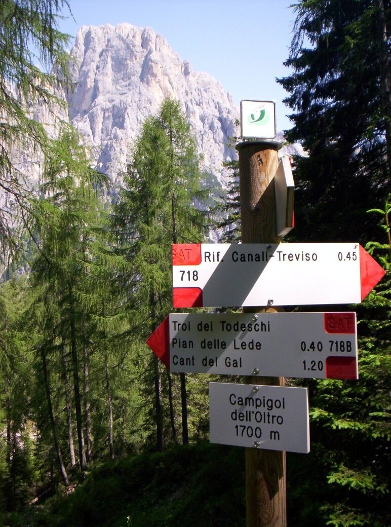 Img2 31698358 Default Variant