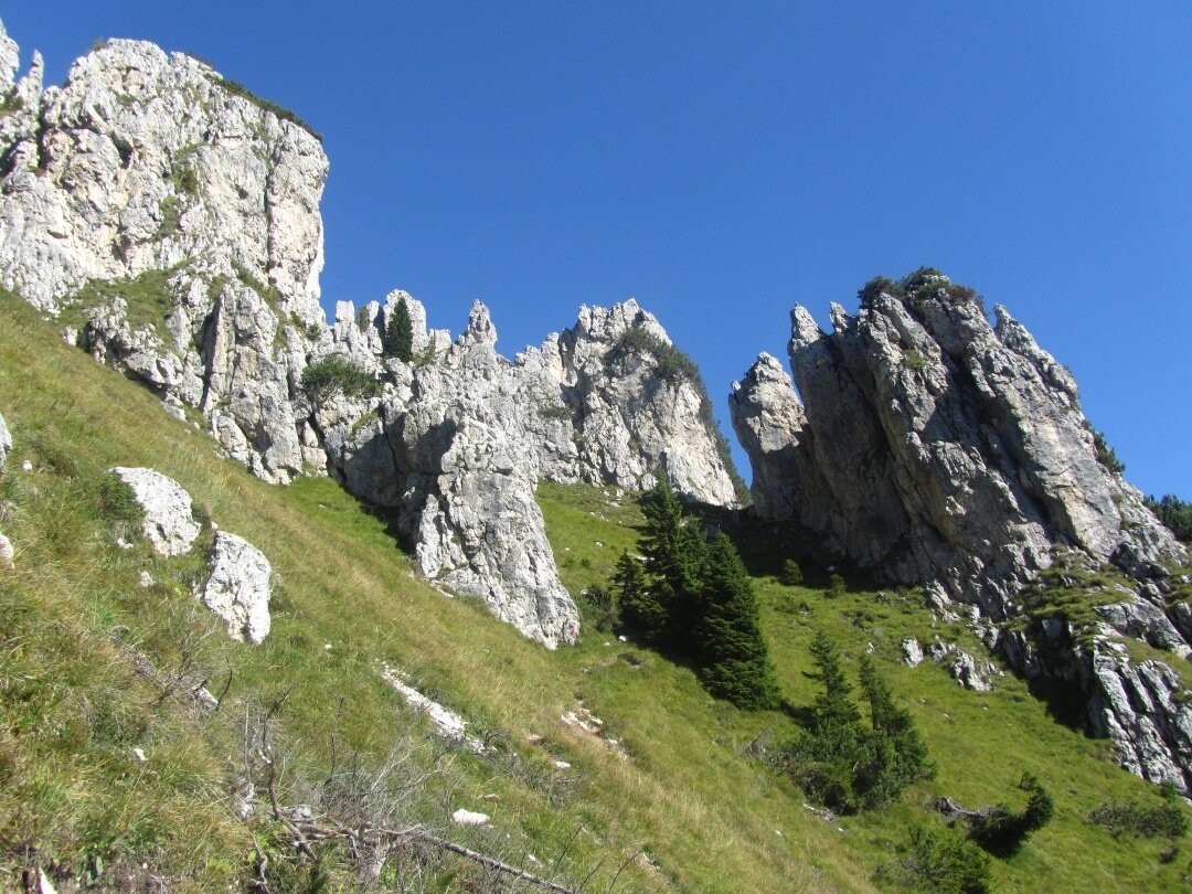 Img2 31698361 Default Variant