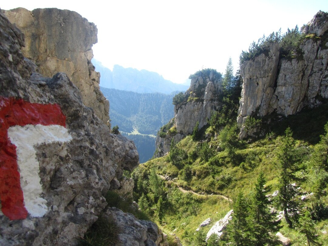 Img2 31698365 Default Variant