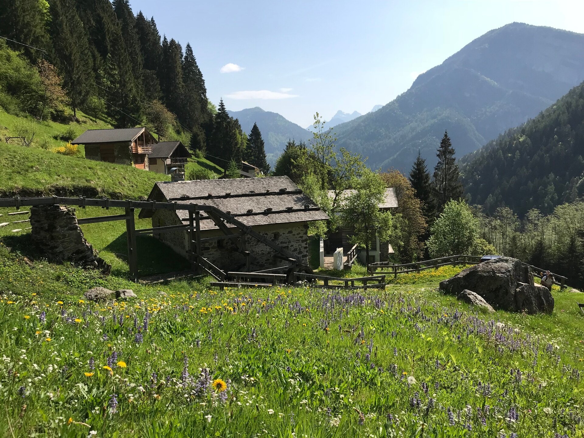 Img2 51550338 Default Variant