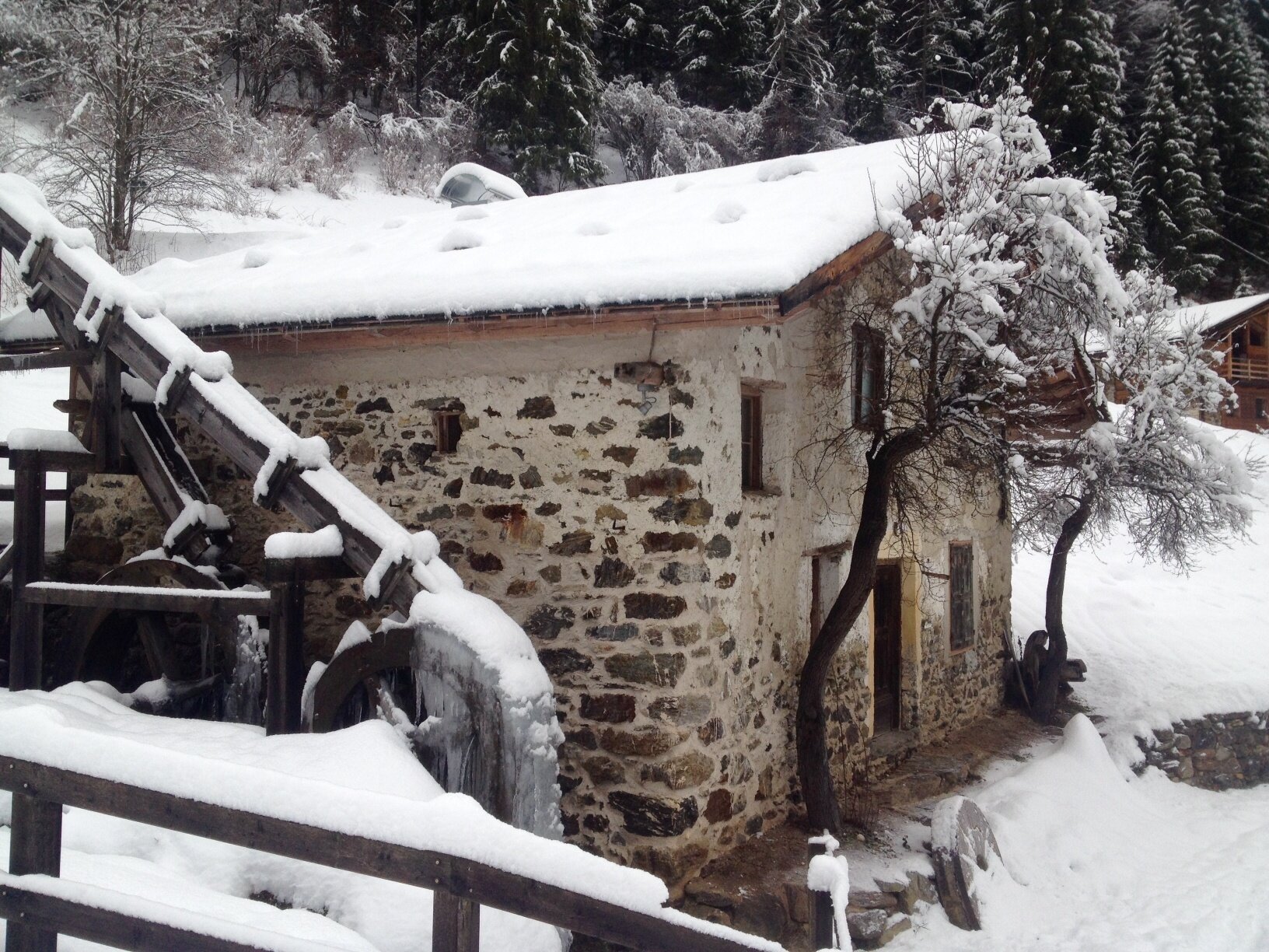 Img2 51550367 Default Variant