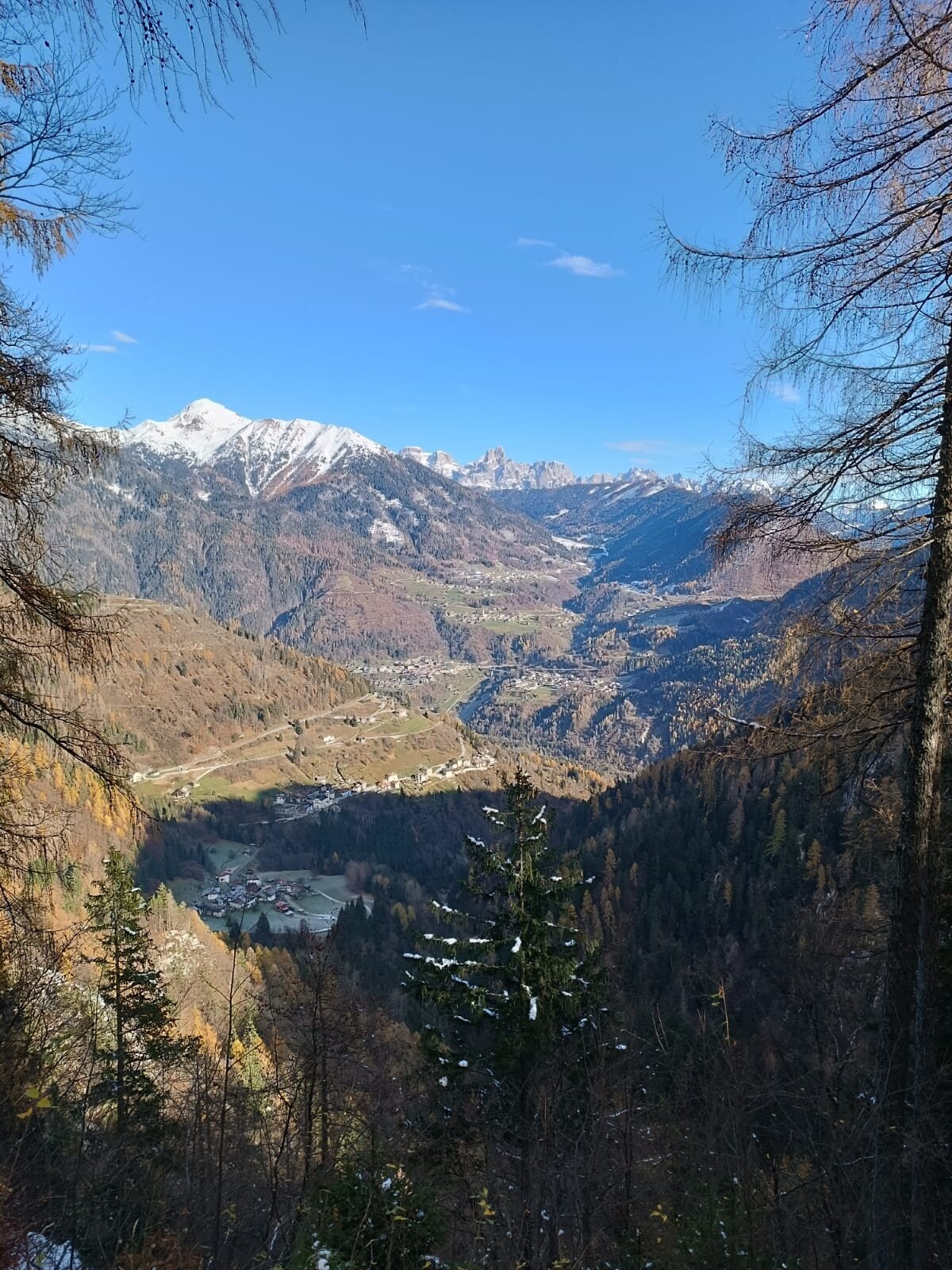 Img2 609356482 Default Variant