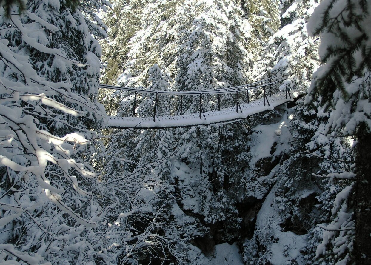 Passeggiata invernale sul Sentiero Marcio'