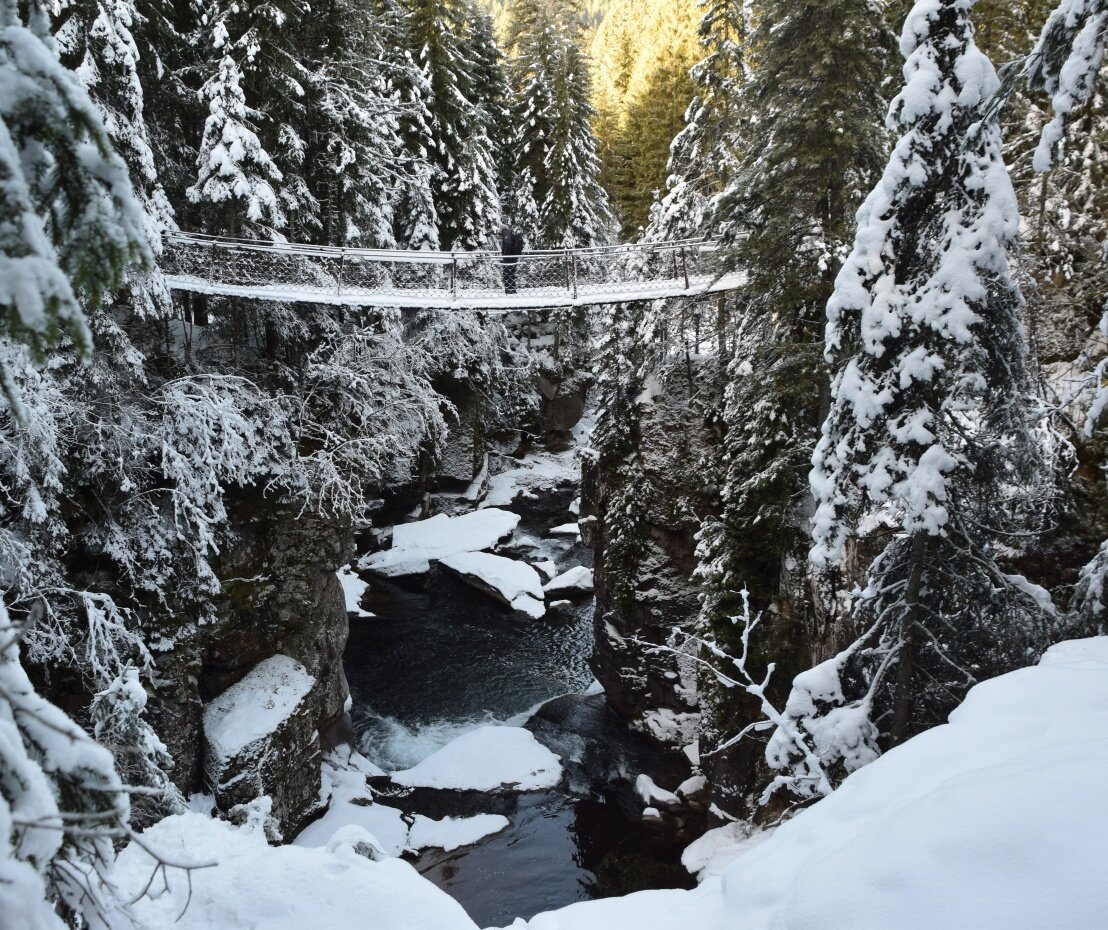 Img2 55140238 Default Variant