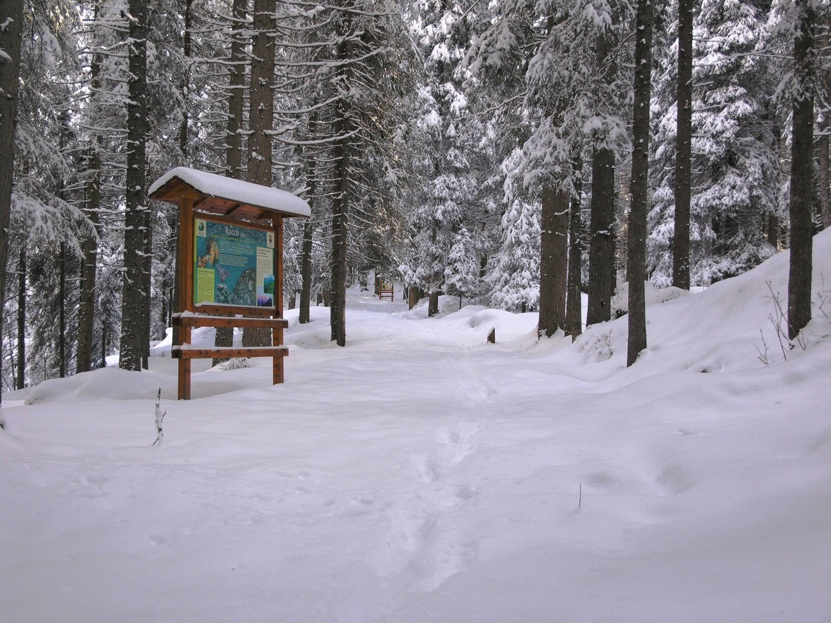 Img2 55140239 Default Variant