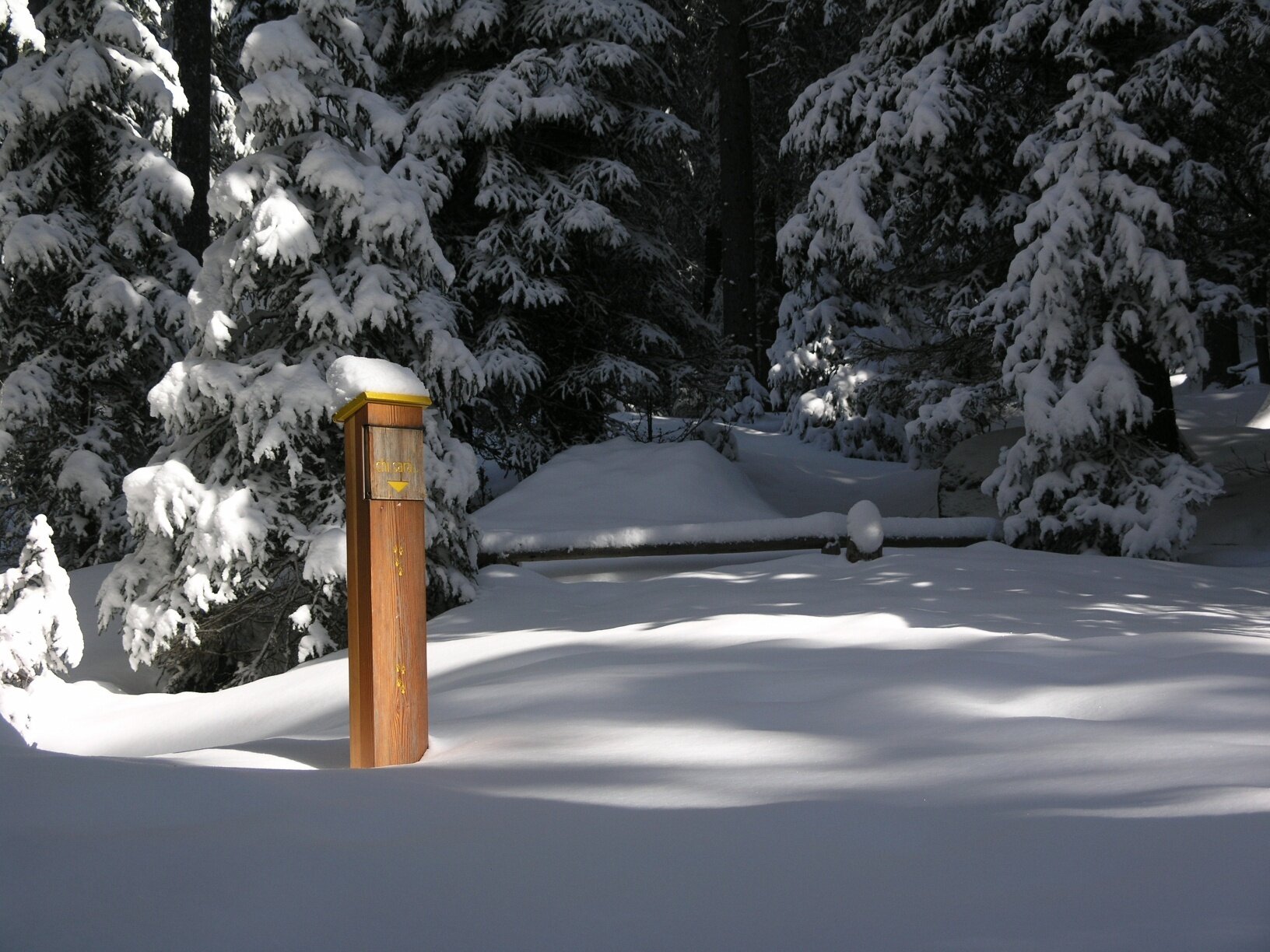 Img2 55140240 Default Variant