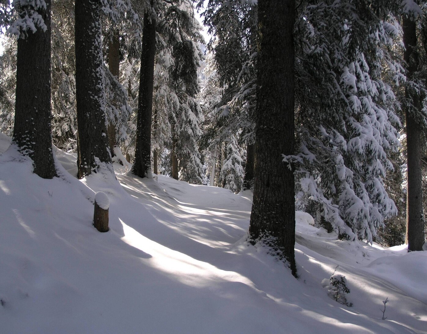 Img2 55140241 Default Variant