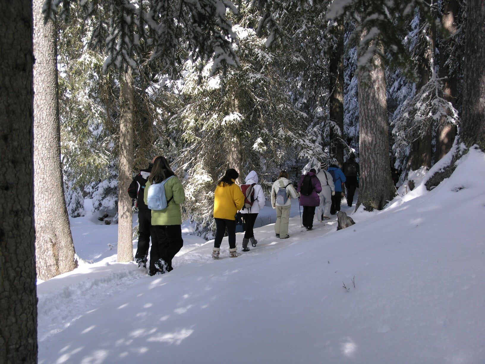 Img2 55140242 Default Variant