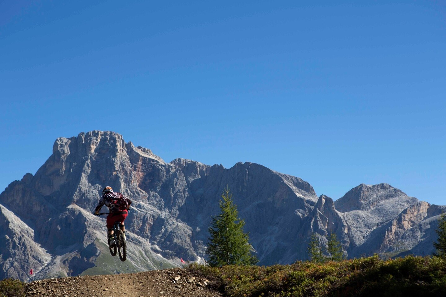 Img2 22121164 Default Variant