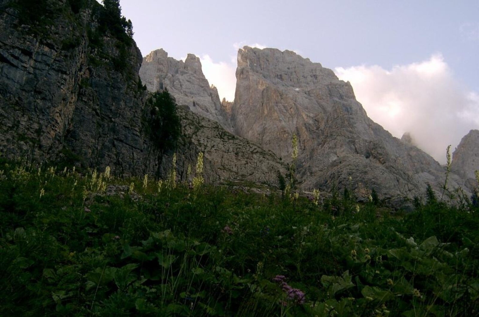 Img2 1920164 Default Variant