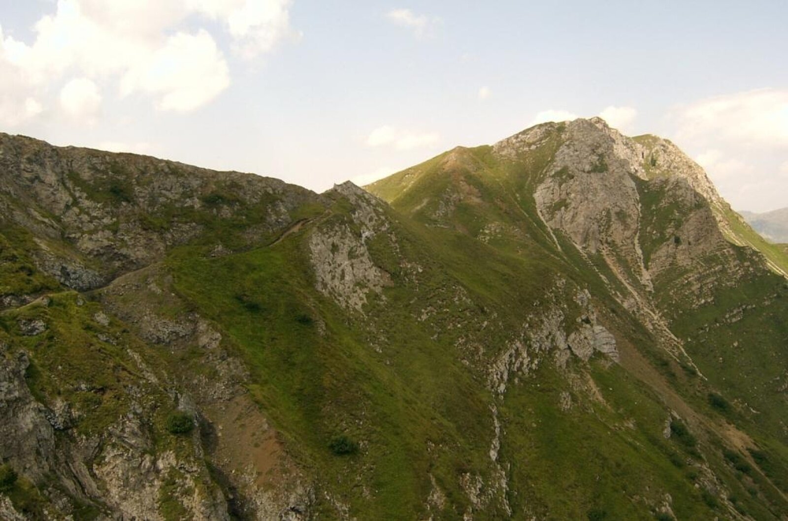 Img2 1939160 Default Variant