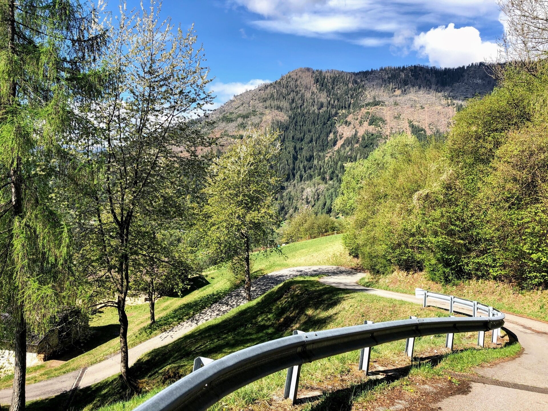 Img2 611365902 Default Variant